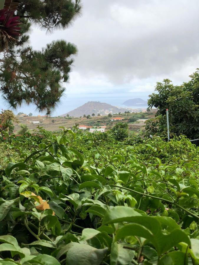 Los Viejitos En Firgas Villa Esterno foto